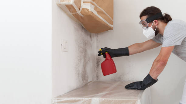 Professional Mold Remediation technician working in Bennett, CO