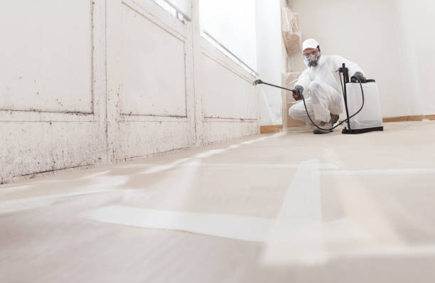 24/7 Emergency Mold Remediation experts in Bennett, CO